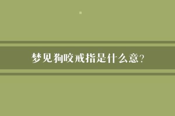 梦见被狗咬的寓意与心理解析探讨